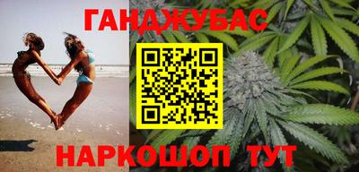 скорость Бердск
