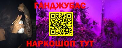скорость Бердск