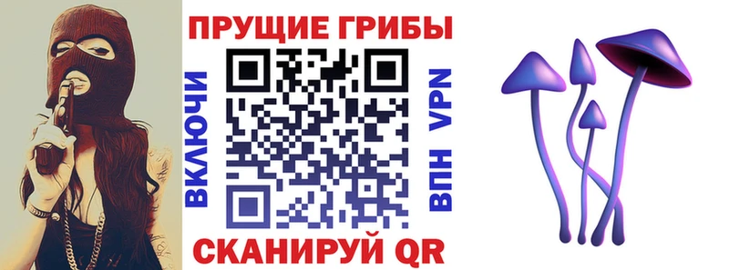 hydra ссылки  Вязники  Псилоцибиновые грибы GOLDEN TEACHER 