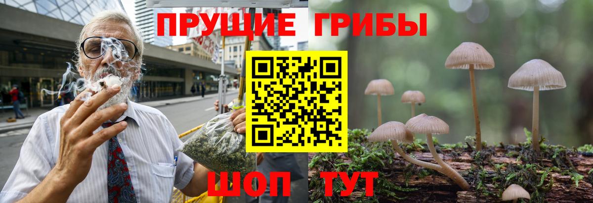 Галлюциногенные грибы MAGIC MUSHROOMS  Псилоцибиновые грибы MAGIC MUSHROOMS  Вход с VPN  где можно купить   Вязники 