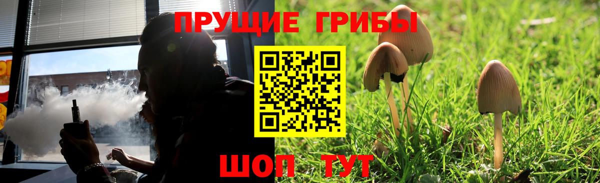 Галлюциногенные грибы Magic Shrooms Вязники